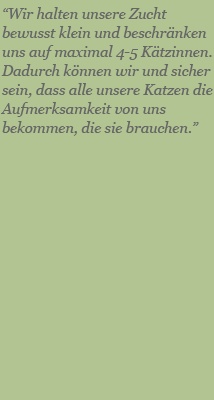 katzentxt