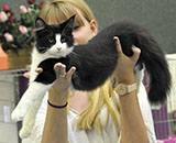 SC Wildfee's Pernilla - 4 Monate