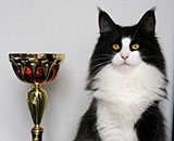 SC Wildfee's Pernilla - 1 Jahr